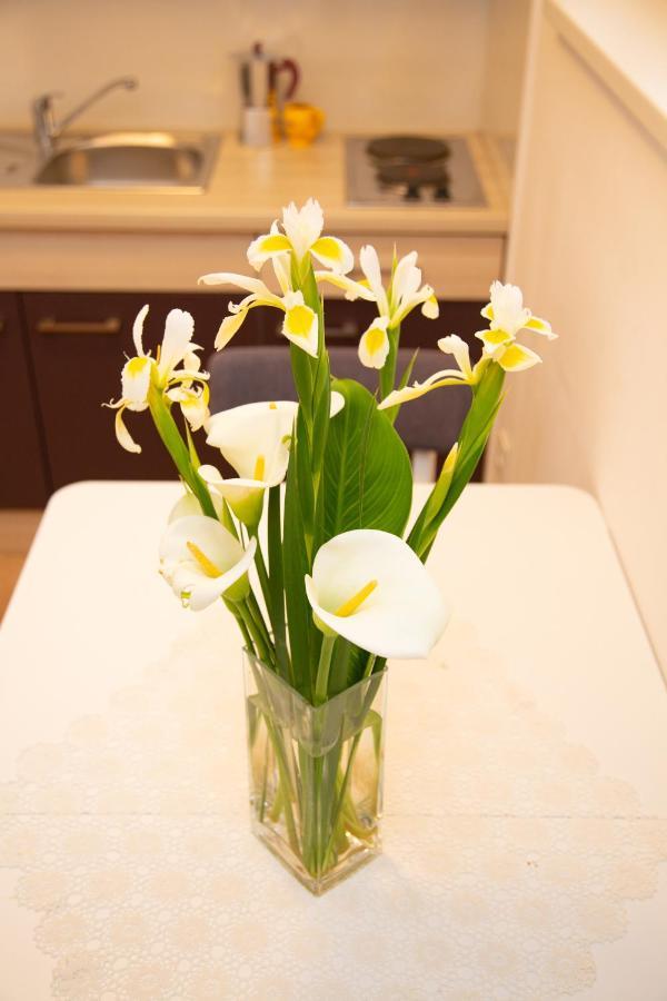 Tonica Apartments Novalja Zewnętrze zdjęcie